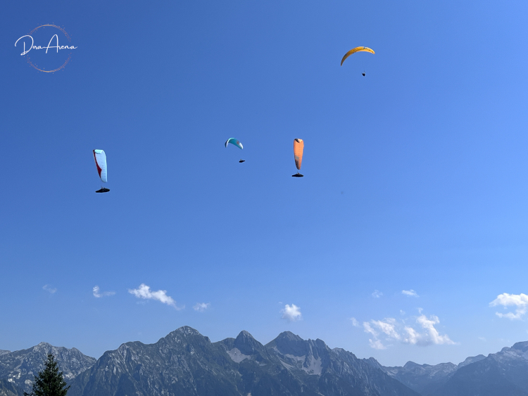gruppo vele Alpago
