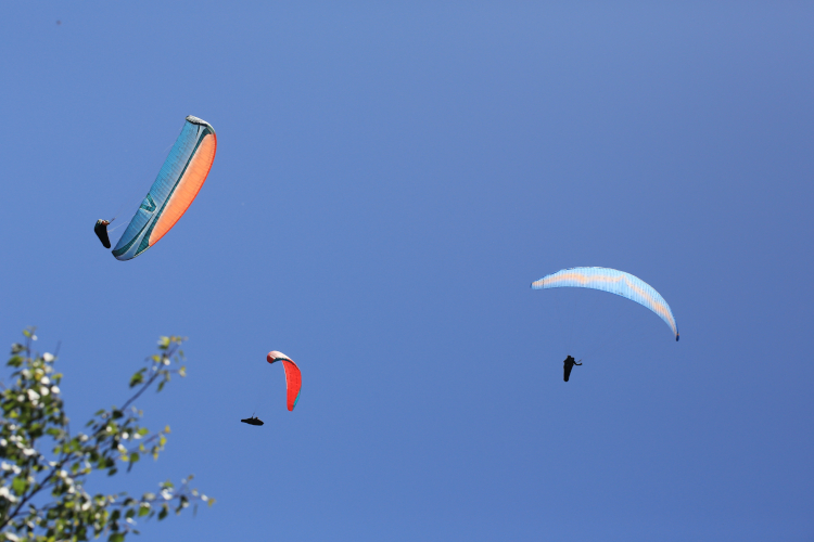 volo cro cavallaria