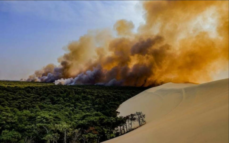 Dune de Pilat fuoco